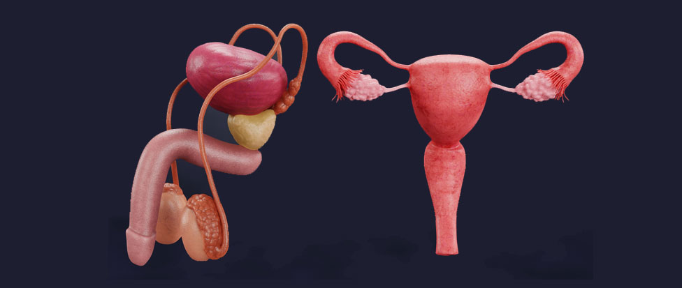 Male & Female Urology Services
